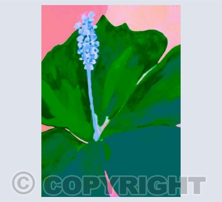 Lily in Sorbet pink and green