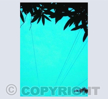 Turquoise Sky 