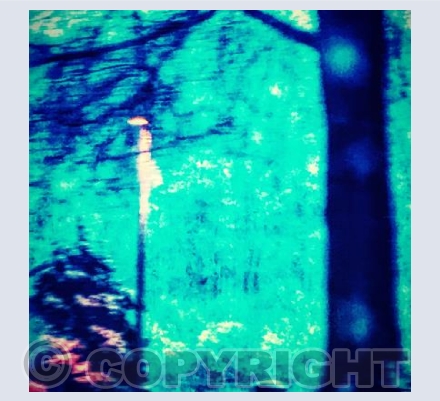 Snowing in Luxembourg