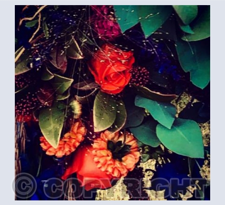 Autumn Flowers