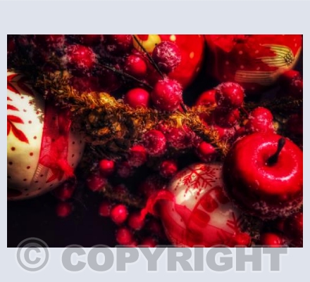 Christmas Cherries 
