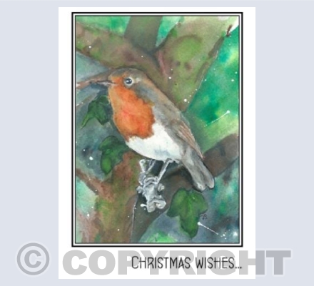 Winter Robin