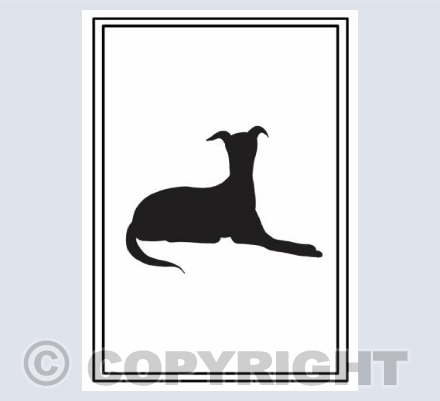 Relaxing greyhound 