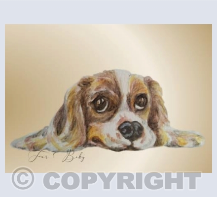 Fur Baby:  Spaniel Puppy 