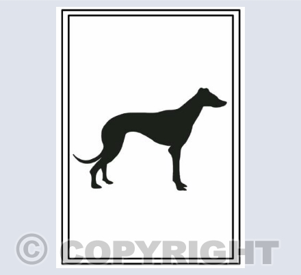 solid standing greyhound*