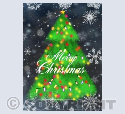 CHRIS03 CHRISTMAS TREE