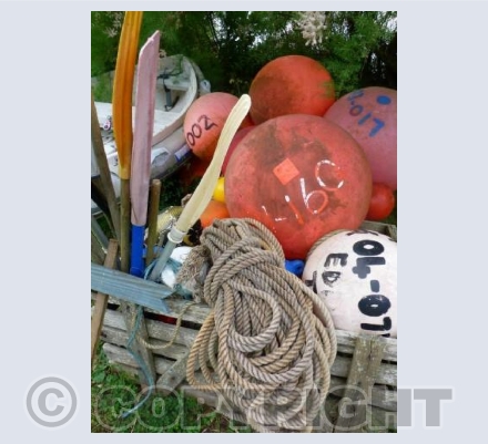 Hello buoys