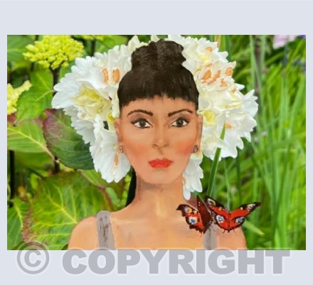 Lady butterfly 