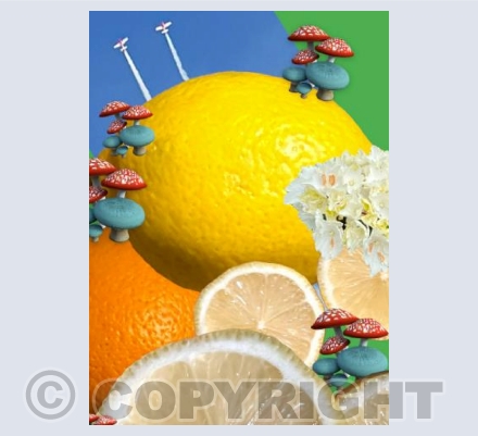 Citrus city 