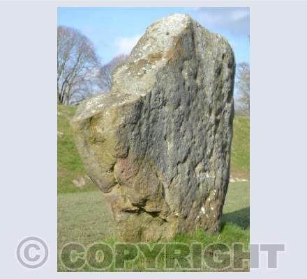 Elephant Stone in colour