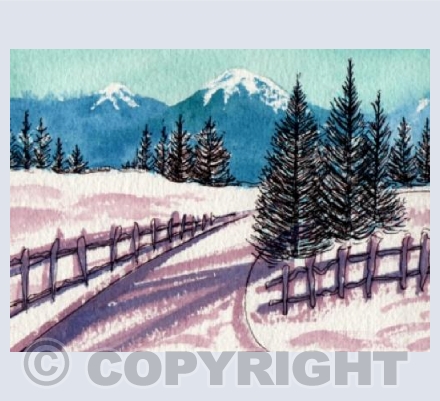 Snowy Path