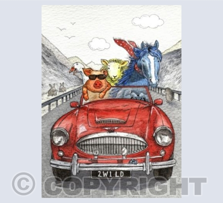 Wild Rides - Animals in a Sports Car