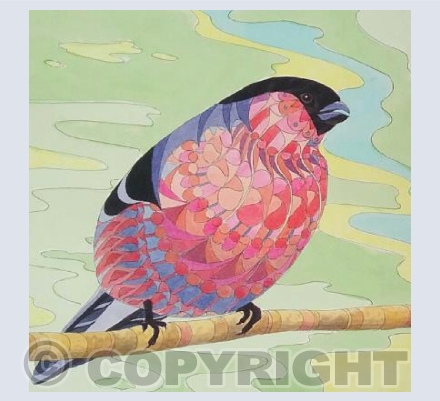 Patterned Bullfinch