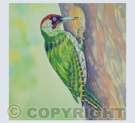 Patterned Woodpecker