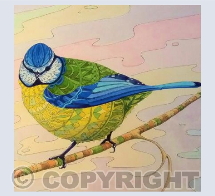 Patterned Blue Tit