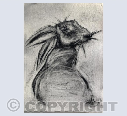 Charcoal Hare 