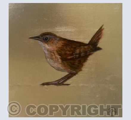 Wren
