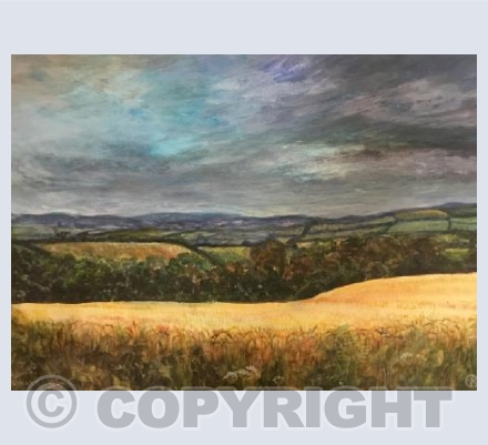 Clouds over the harvest