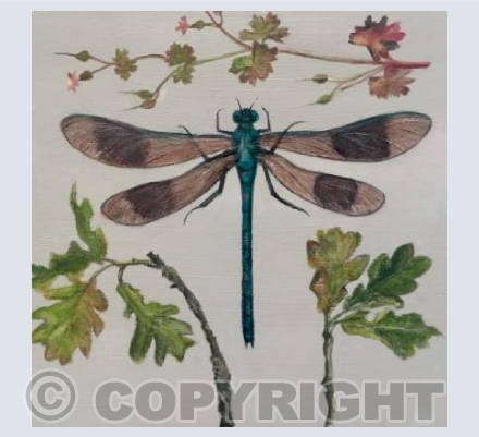 Dragonfly and Oak leaves