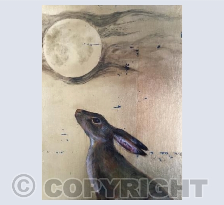 Moon gazing Hare