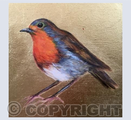 Winter Robin