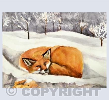 Winter Fox