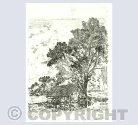 Under the Oak card