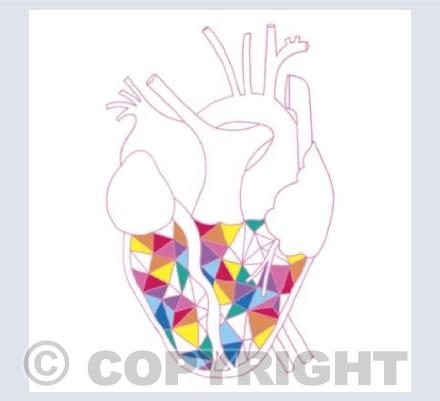 coloured heart