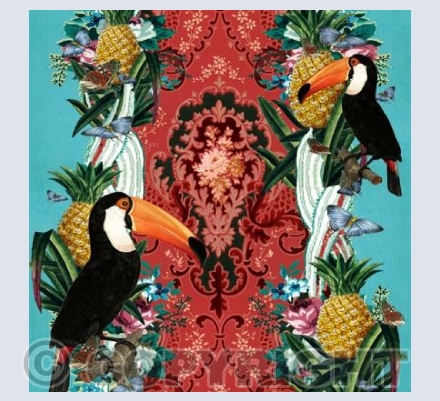 Tropical Paradise