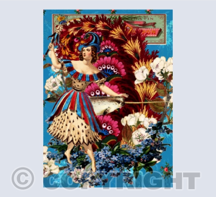 Punchanella & the Narwahl