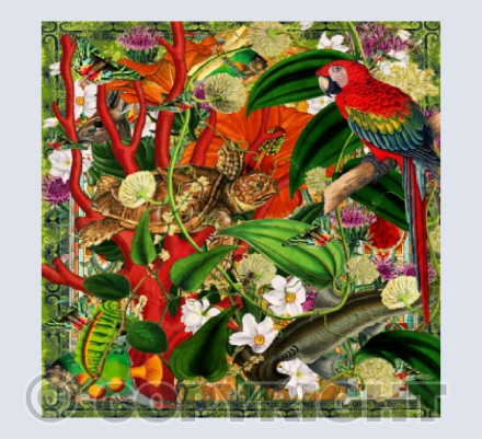 All things bright & beautiful