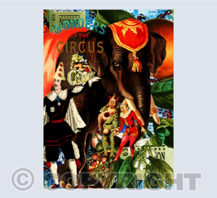 Nelly & the giant Butterfly