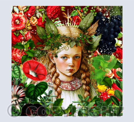 The Holly Berry Fairy