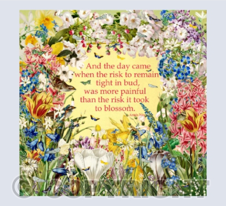 The risk it took to blossom