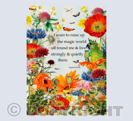 Raise up the magic world