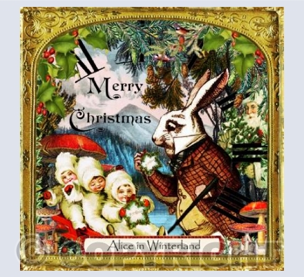 White Rabbit & The Snow Babies