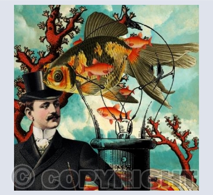 The Fishing Trip
