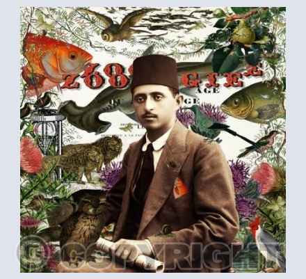 Zoology