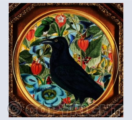 The Crow