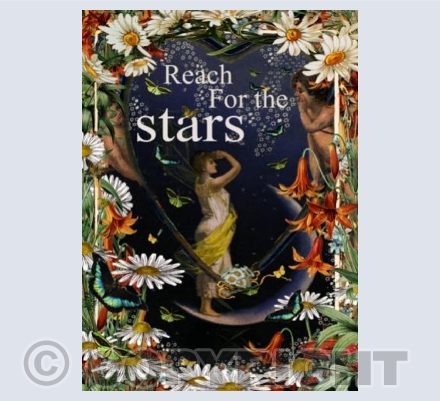 Reach for the Stars