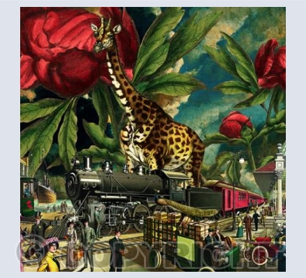 Overseeing the proceedings