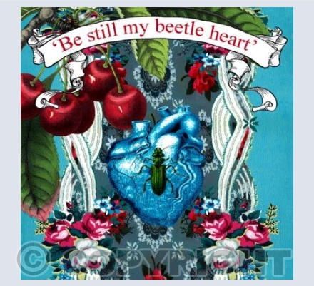 Be still my Beetle heart