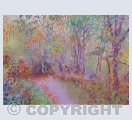 WINDY AUTUMN AT WINKWORTH