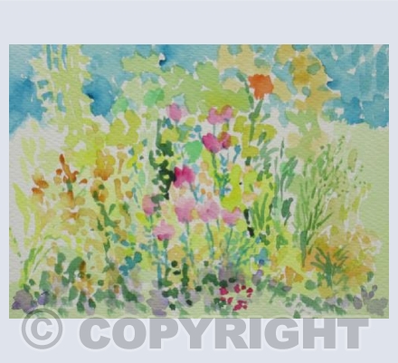 hot day at the allotments