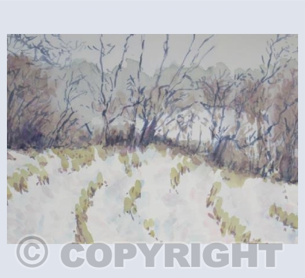 SNOW AT COMPTON