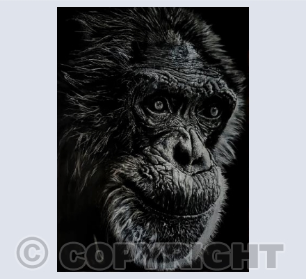 What are they doing?