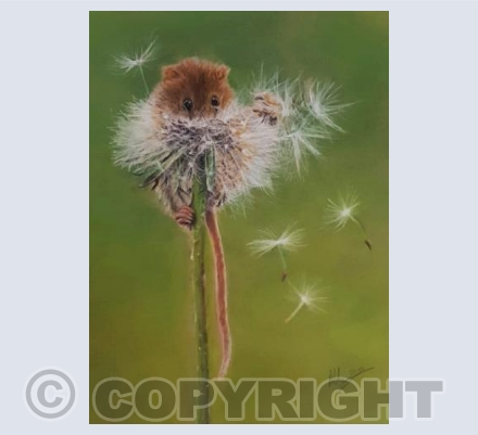 I left it here somewhere