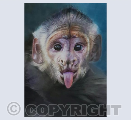 Cheeky monkey