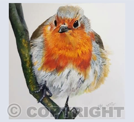 Robin