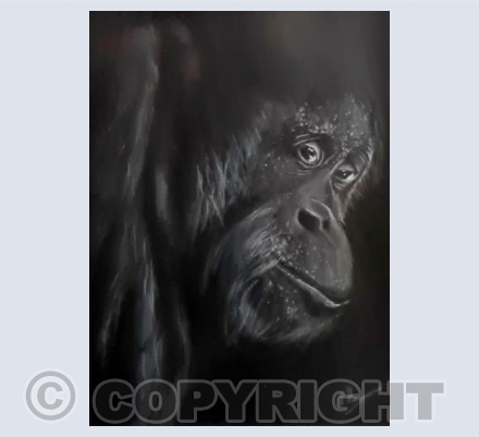 But It's my home